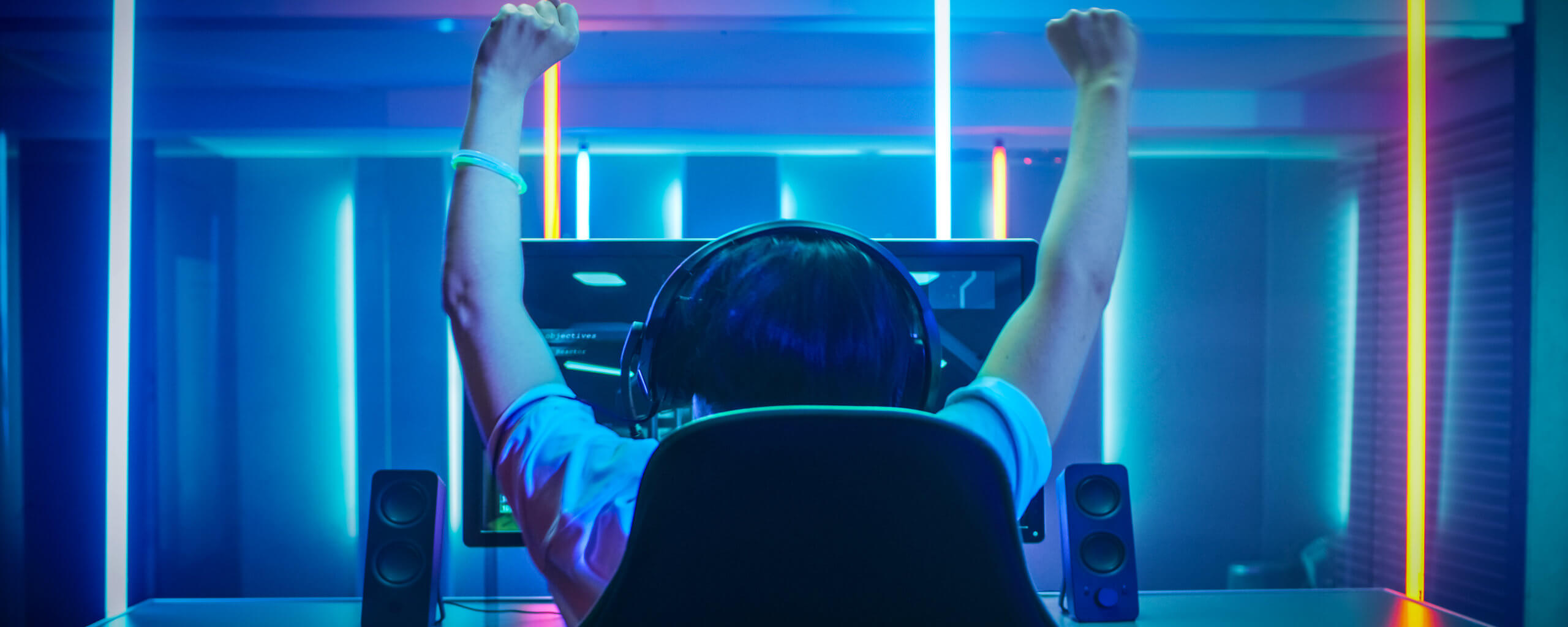 Adorn your Professional Gamer Life with these Explicit Tips - Unlogica